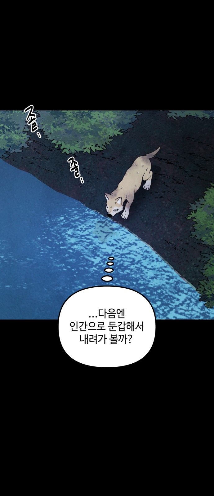 43 페이지