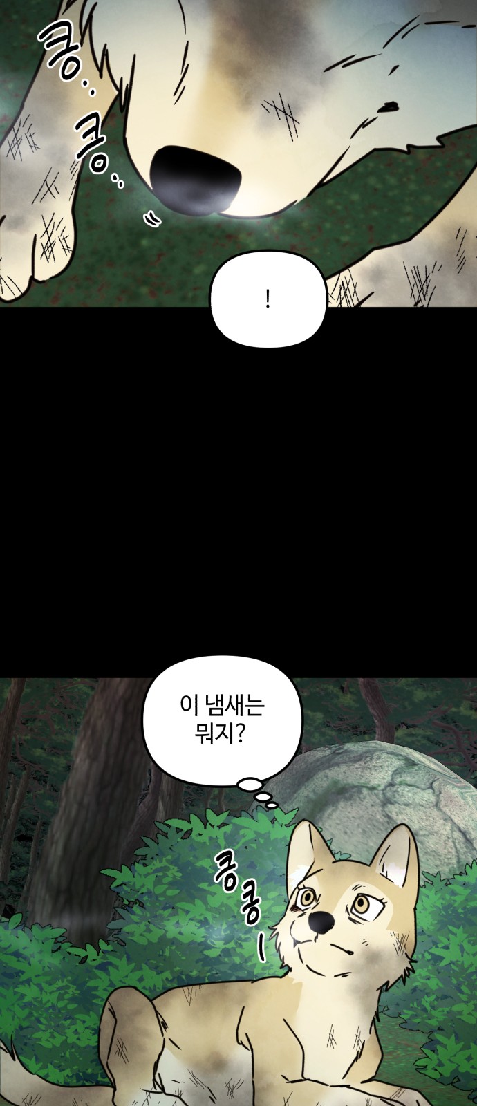 51 페이지