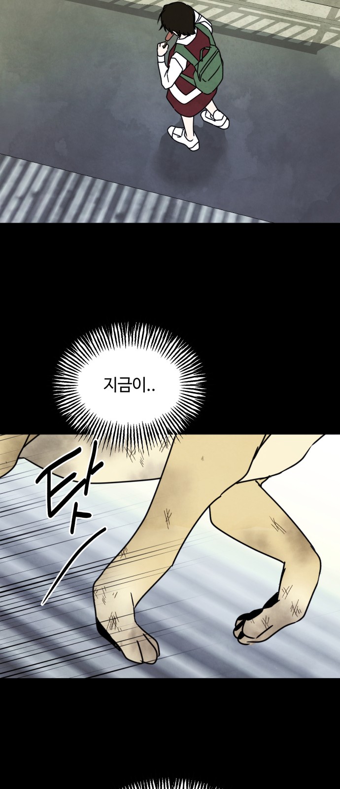 55 페이지