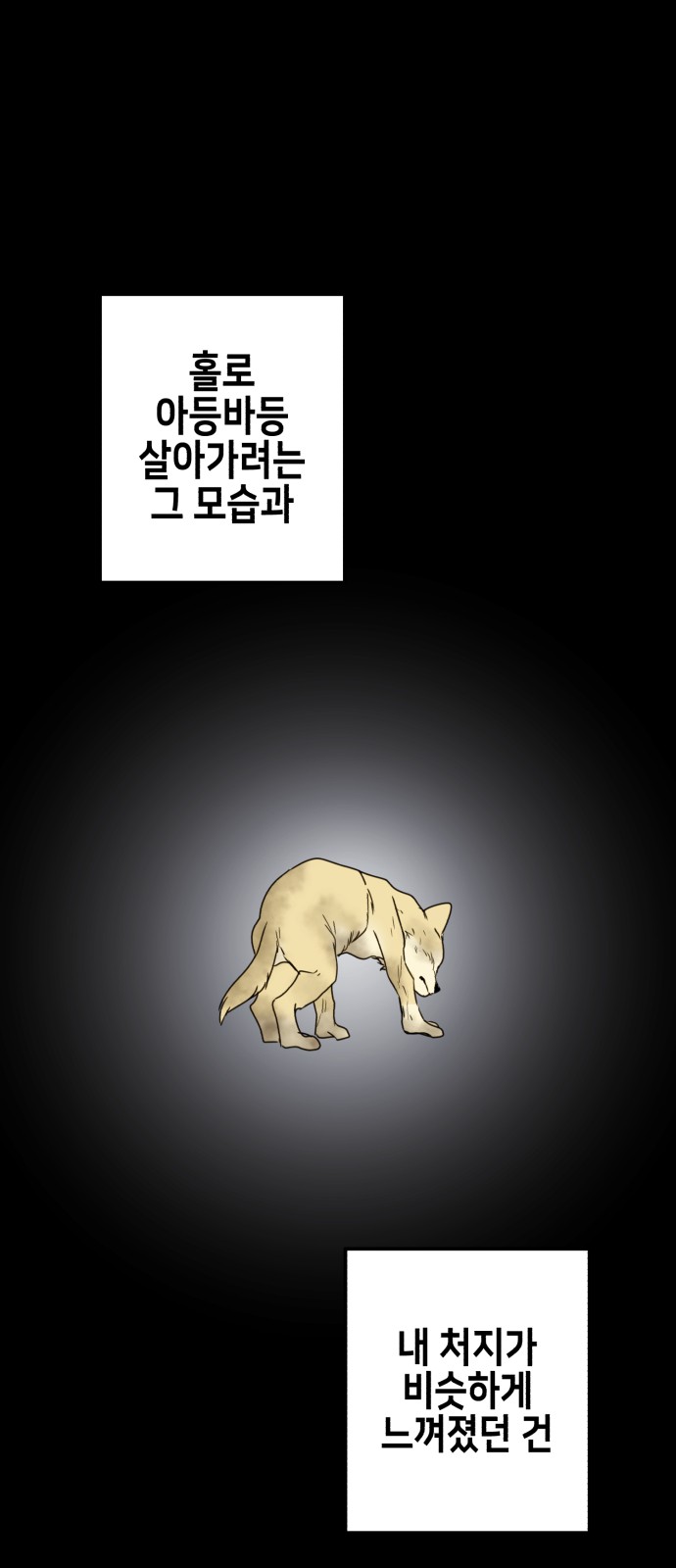 51 페이지