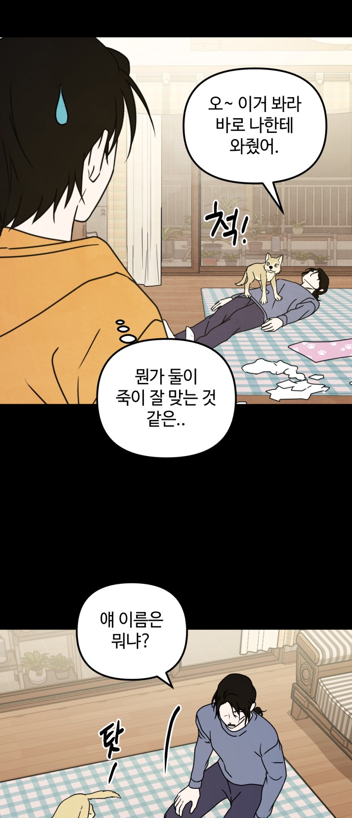 29 페이지