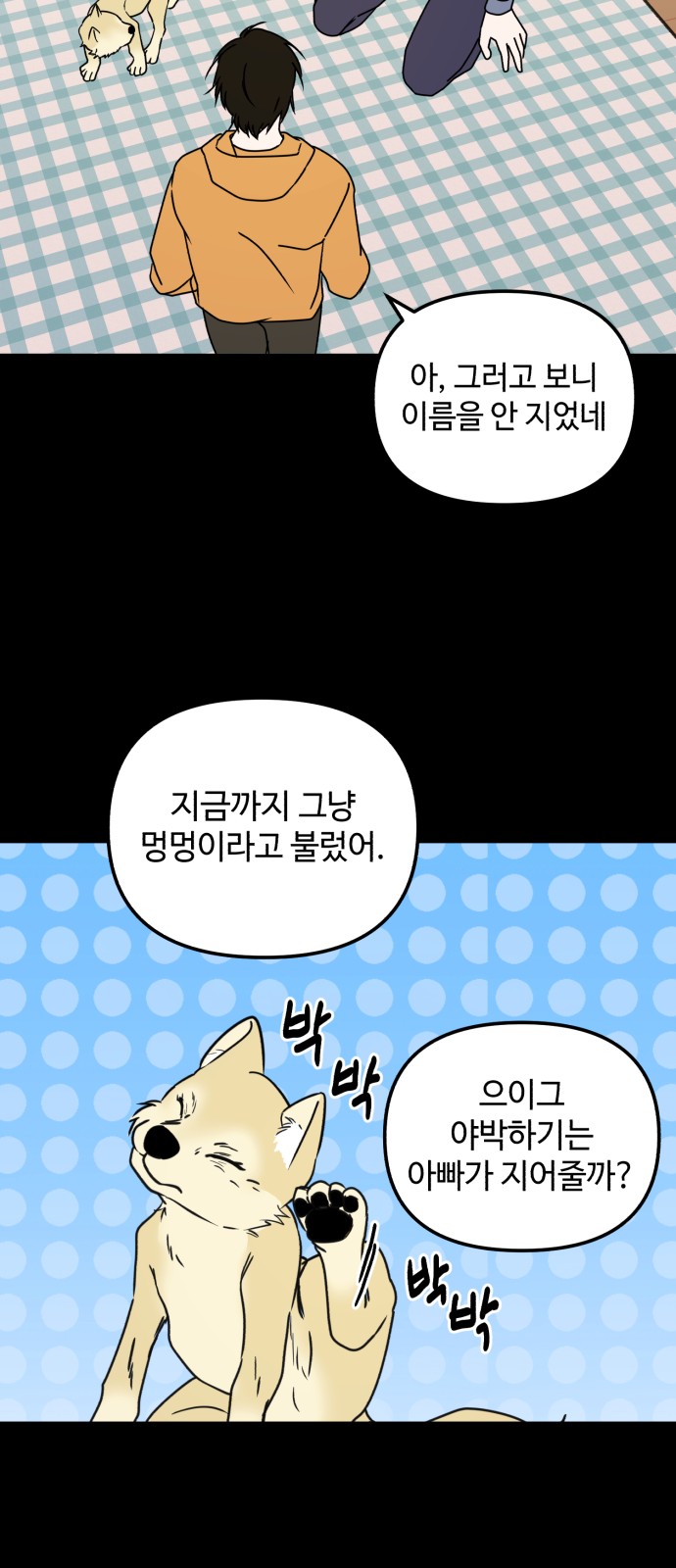 30 페이지