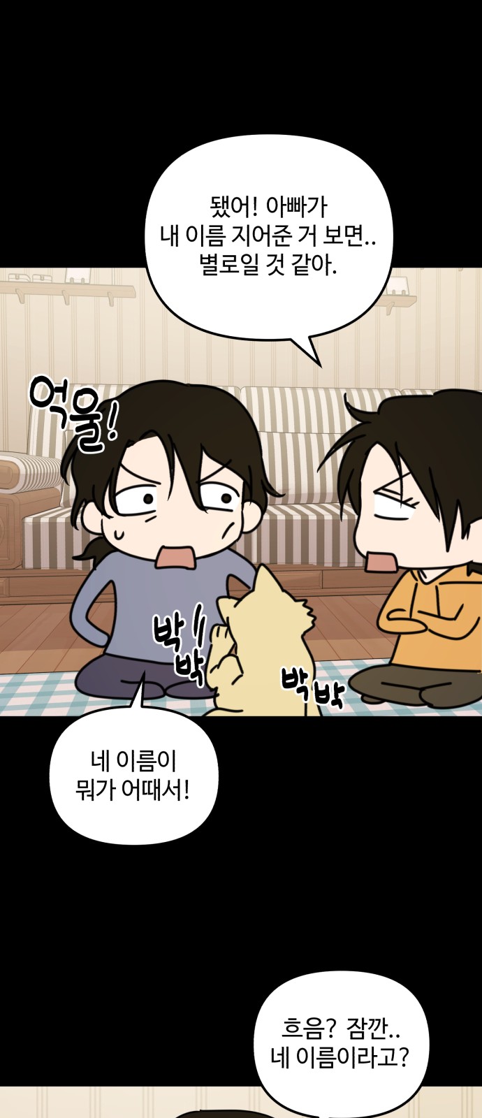 31 페이지