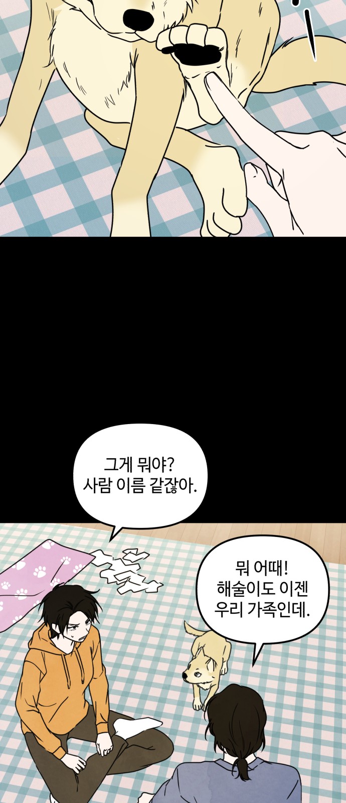 33 페이지