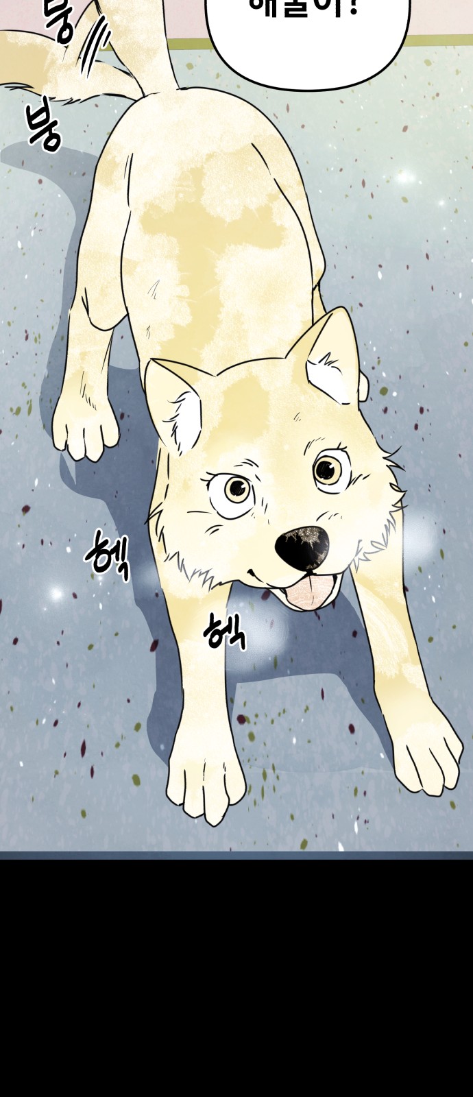 51 페이지