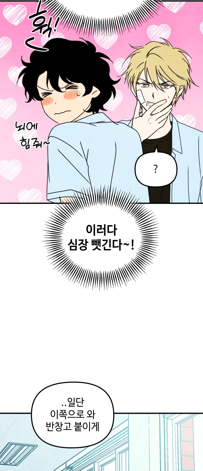 15 페이지