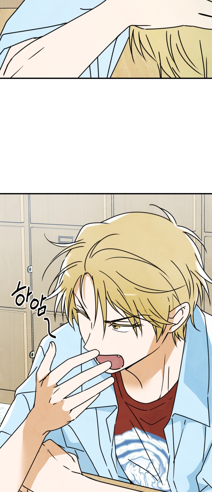 41 페이지