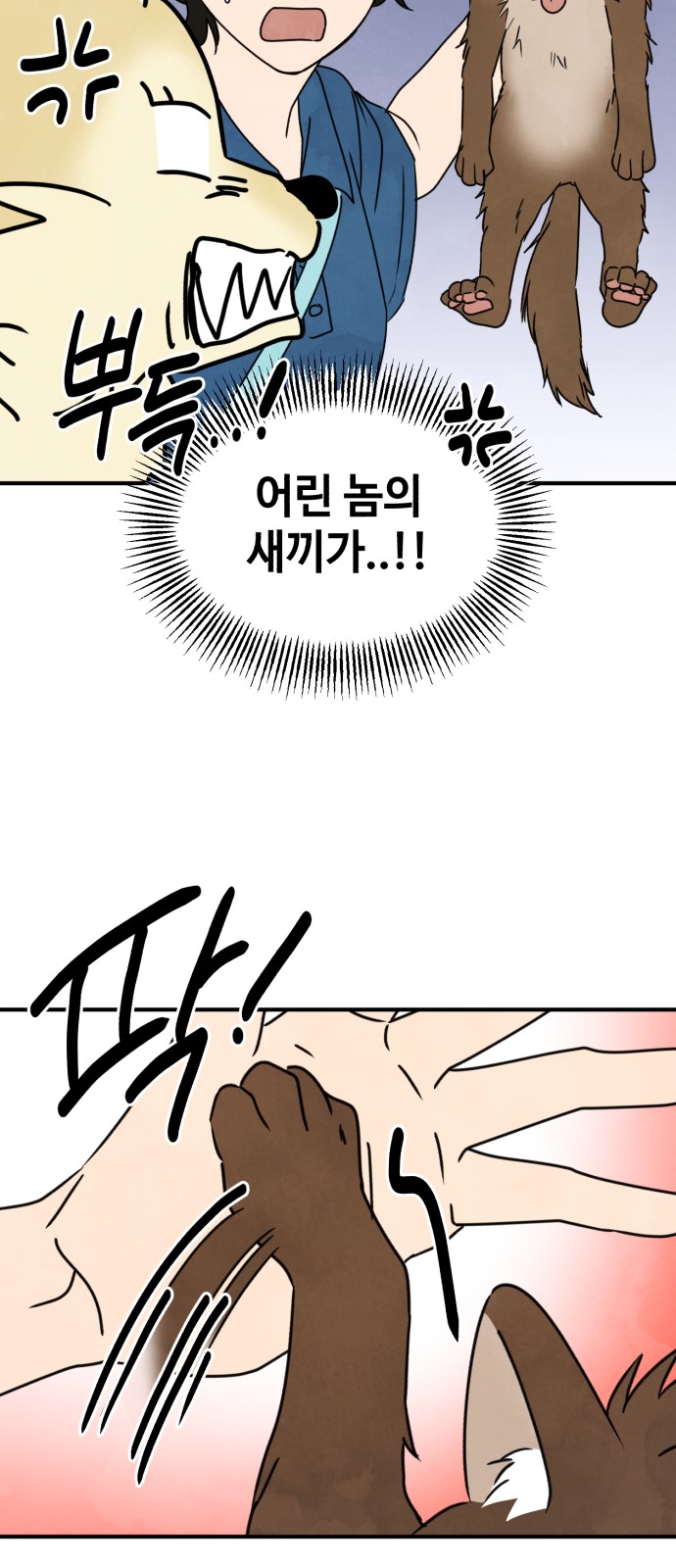 45 페이지