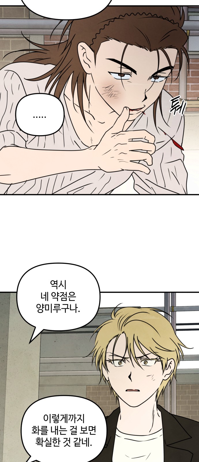 23 페이지