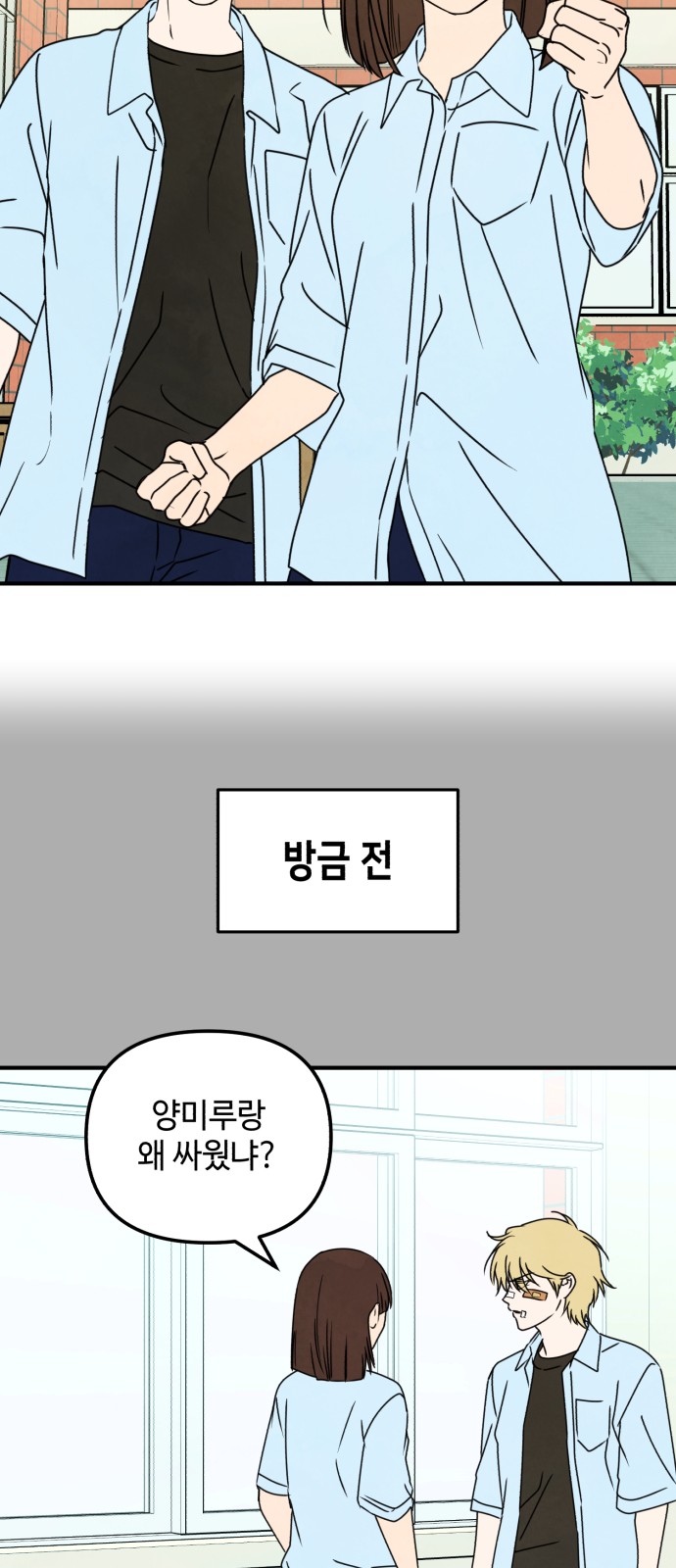 33 페이지