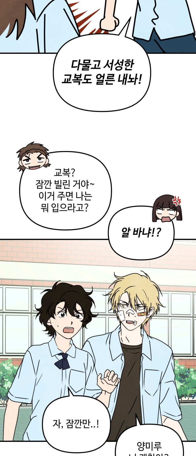 36 페이지