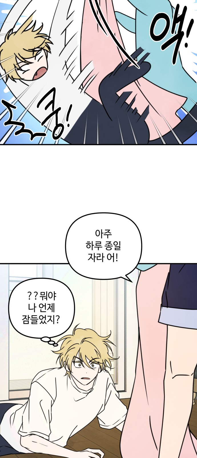 17 페이지