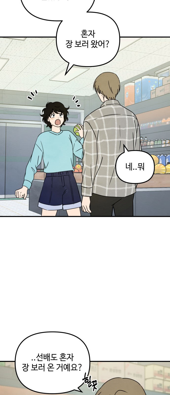 43 페이지