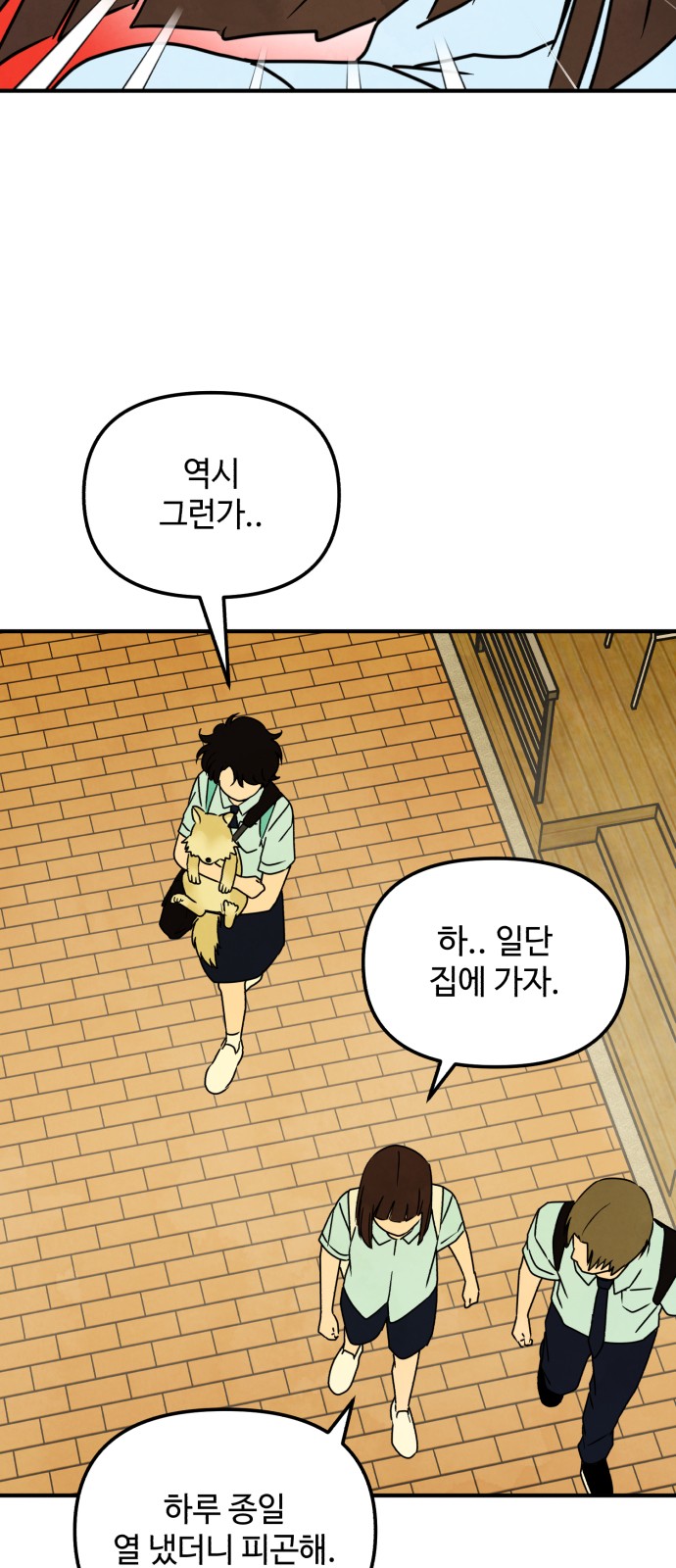 38 페이지