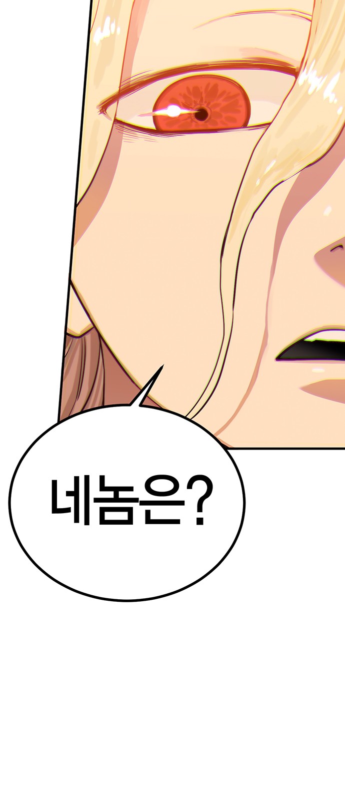 114 페이지