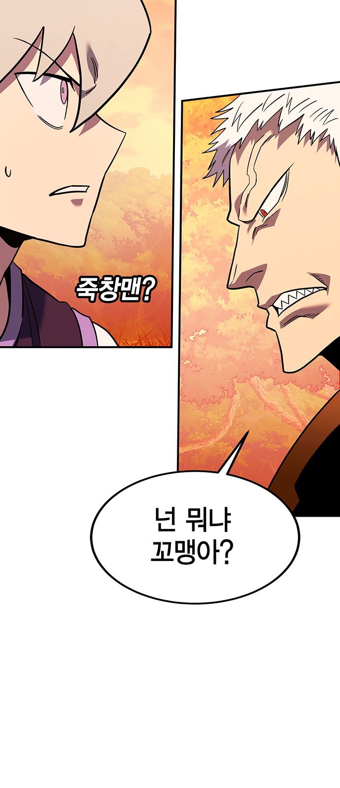 27 페이지