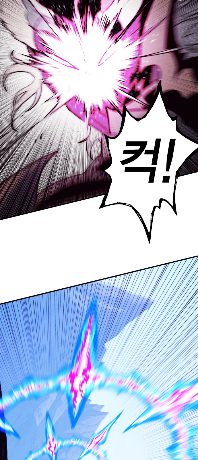 113 페이지