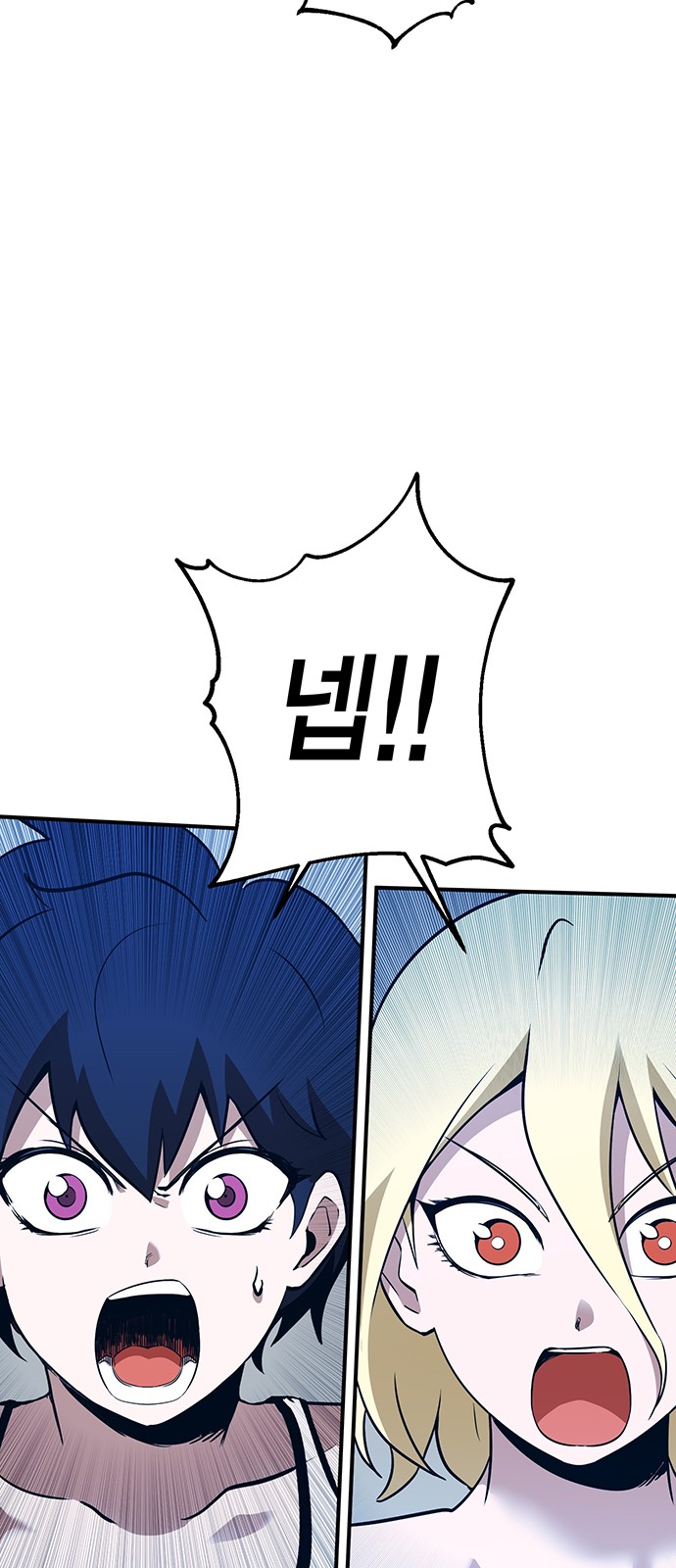 74 페이지