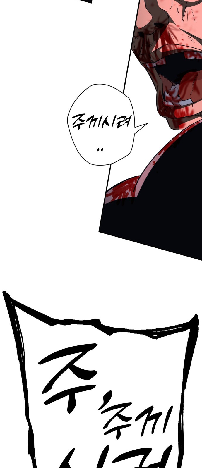 204 페이지