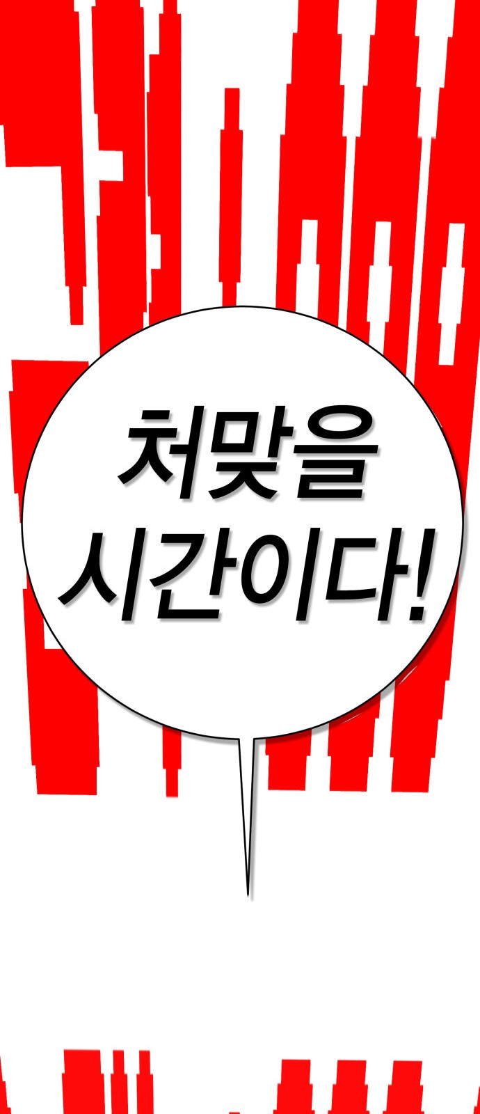 355 페이지