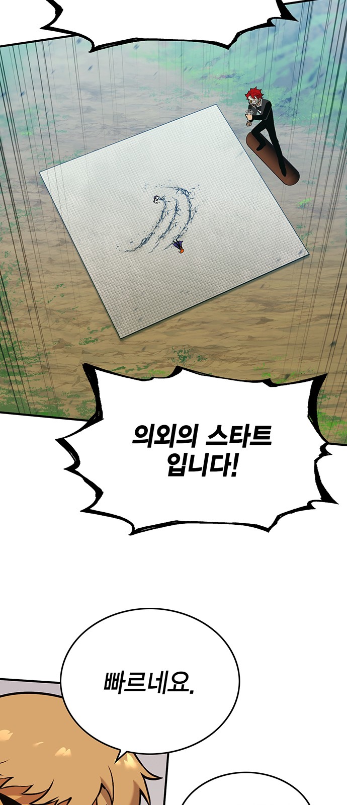 43 페이지