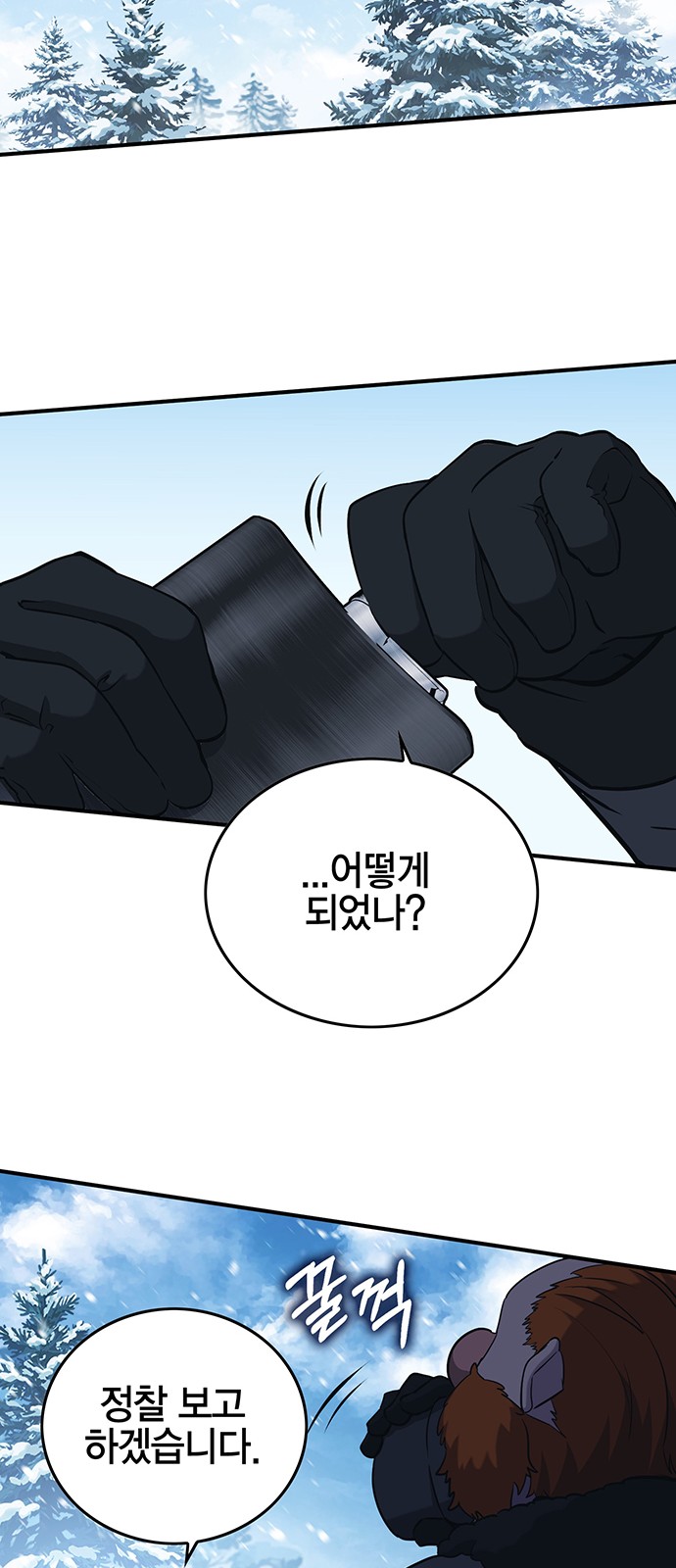 74 페이지