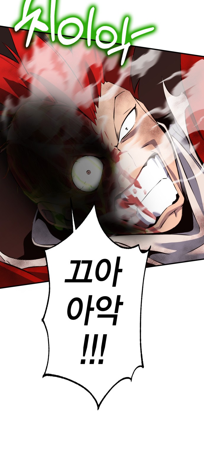 66 페이지