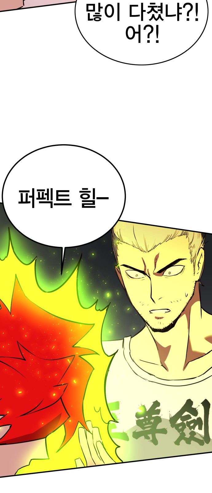 113 페이지