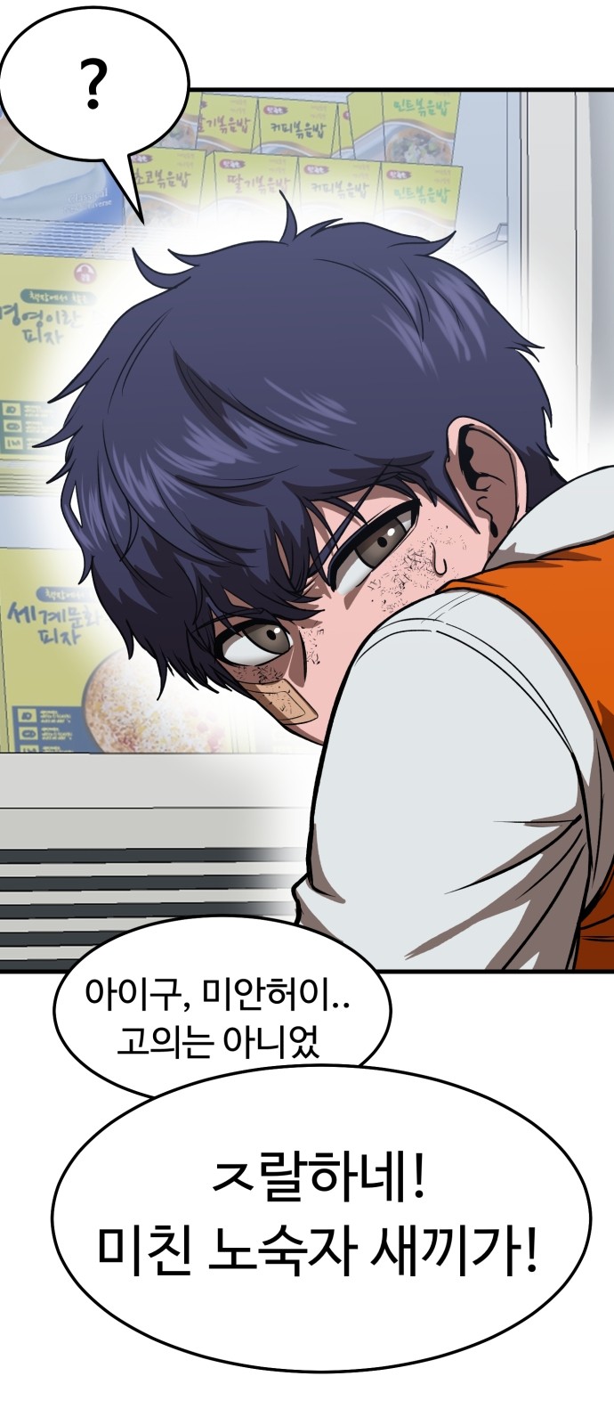 74 페이지