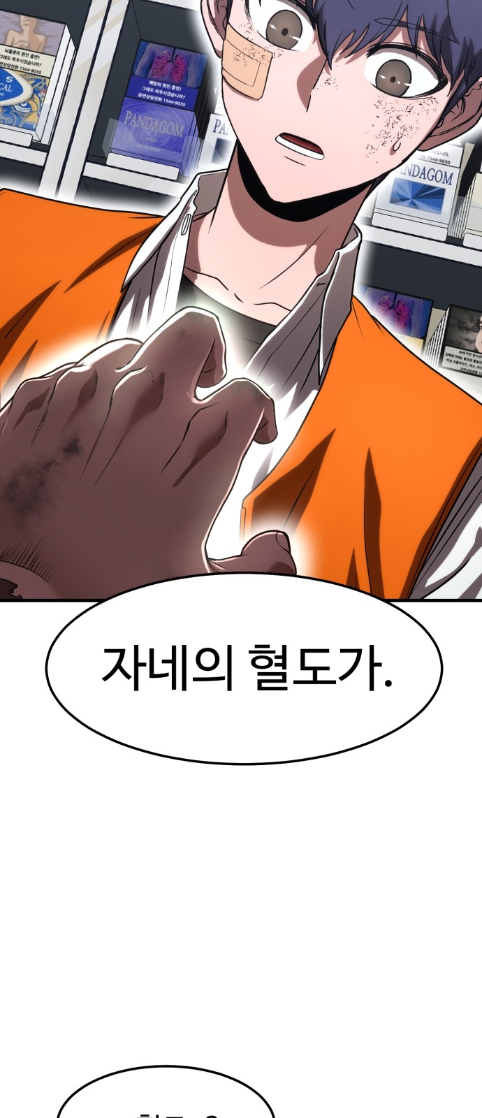 113 페이지