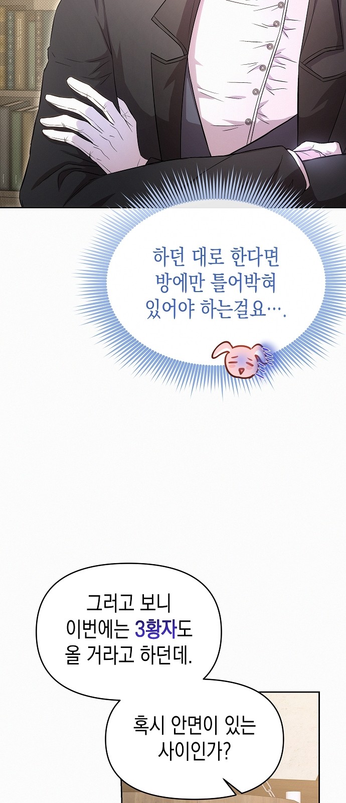 50 페이지