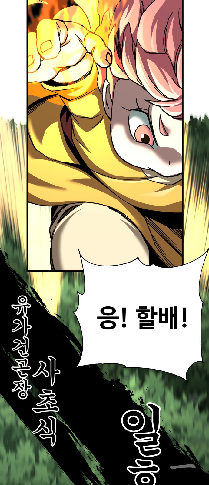 51 페이지