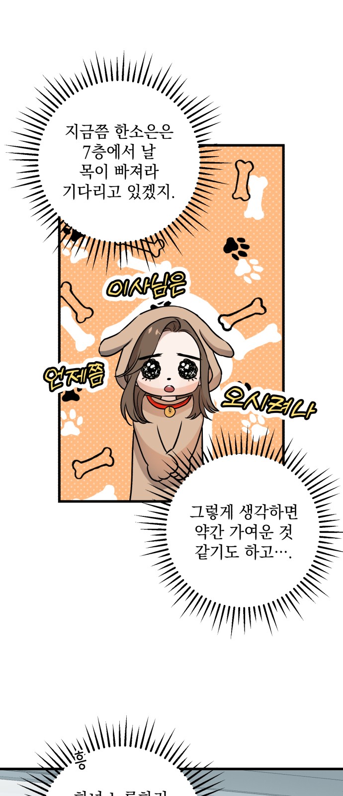 19 페이지