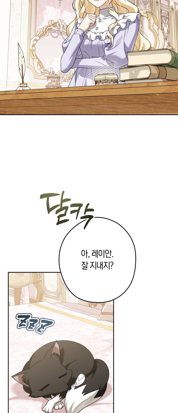 48 페이지