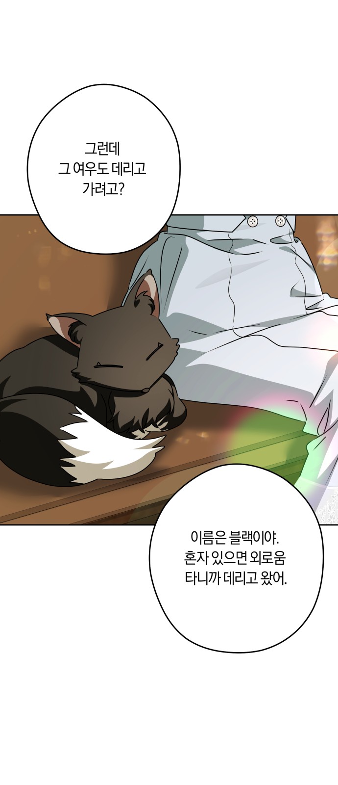 56 페이지