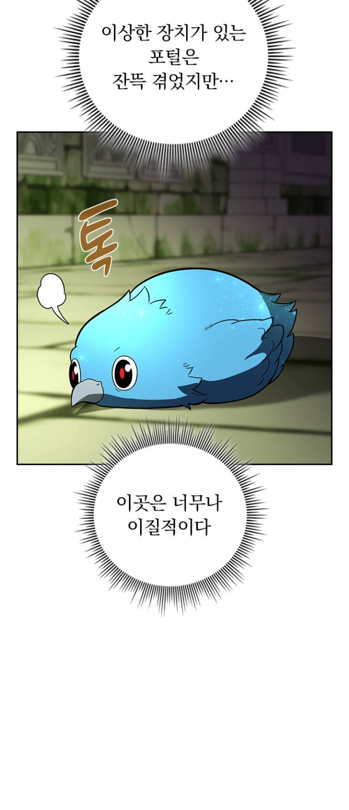 5 페이지