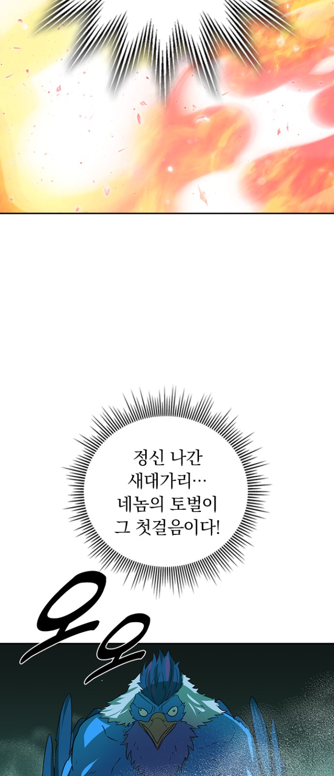 51 페이지