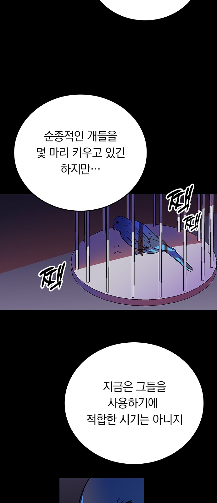51 페이지