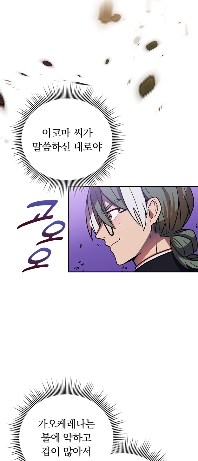 30 페이지