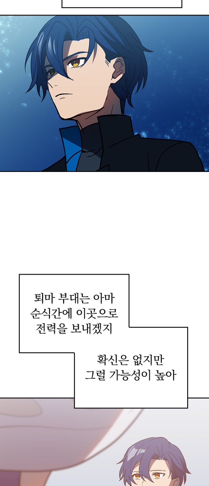 30 페이지
