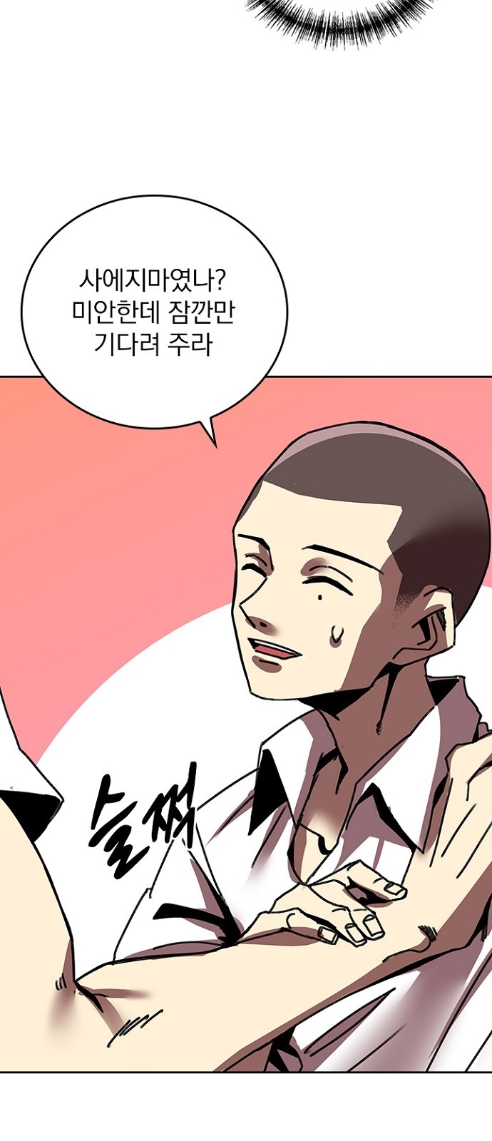 33 페이지