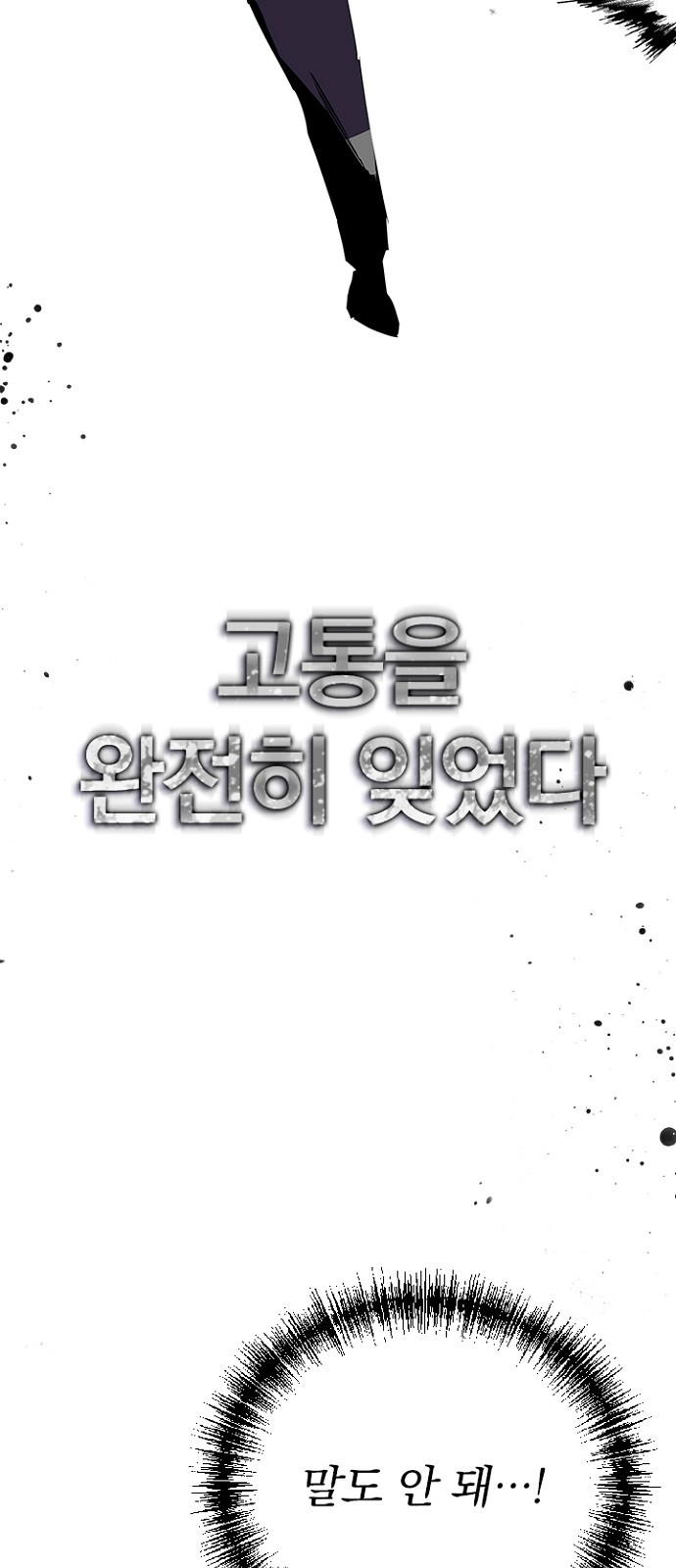 65 페이지