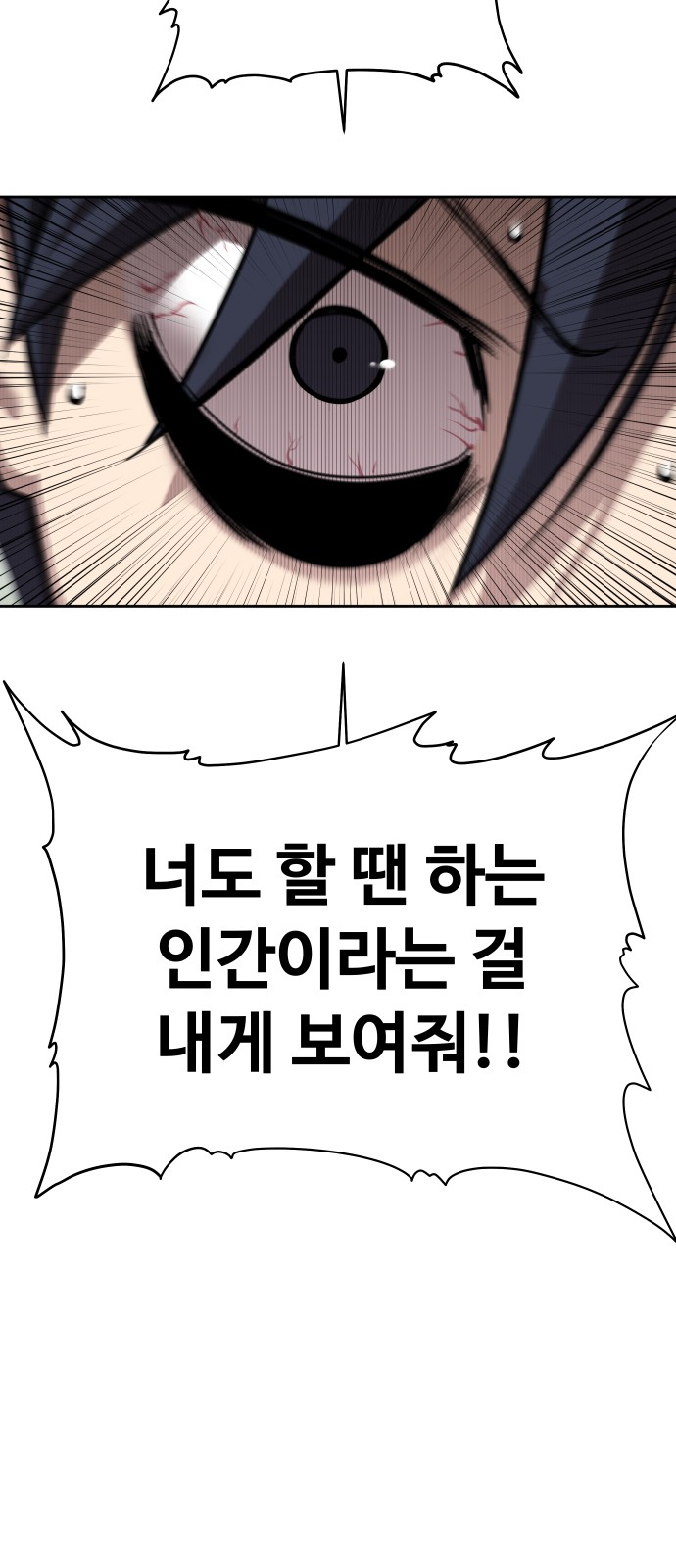 146 페이지
