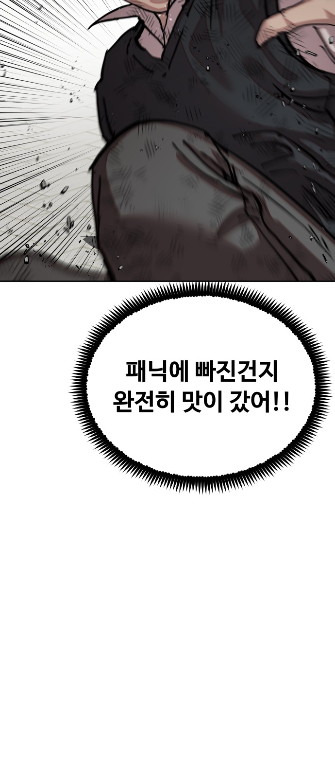 66 페이지