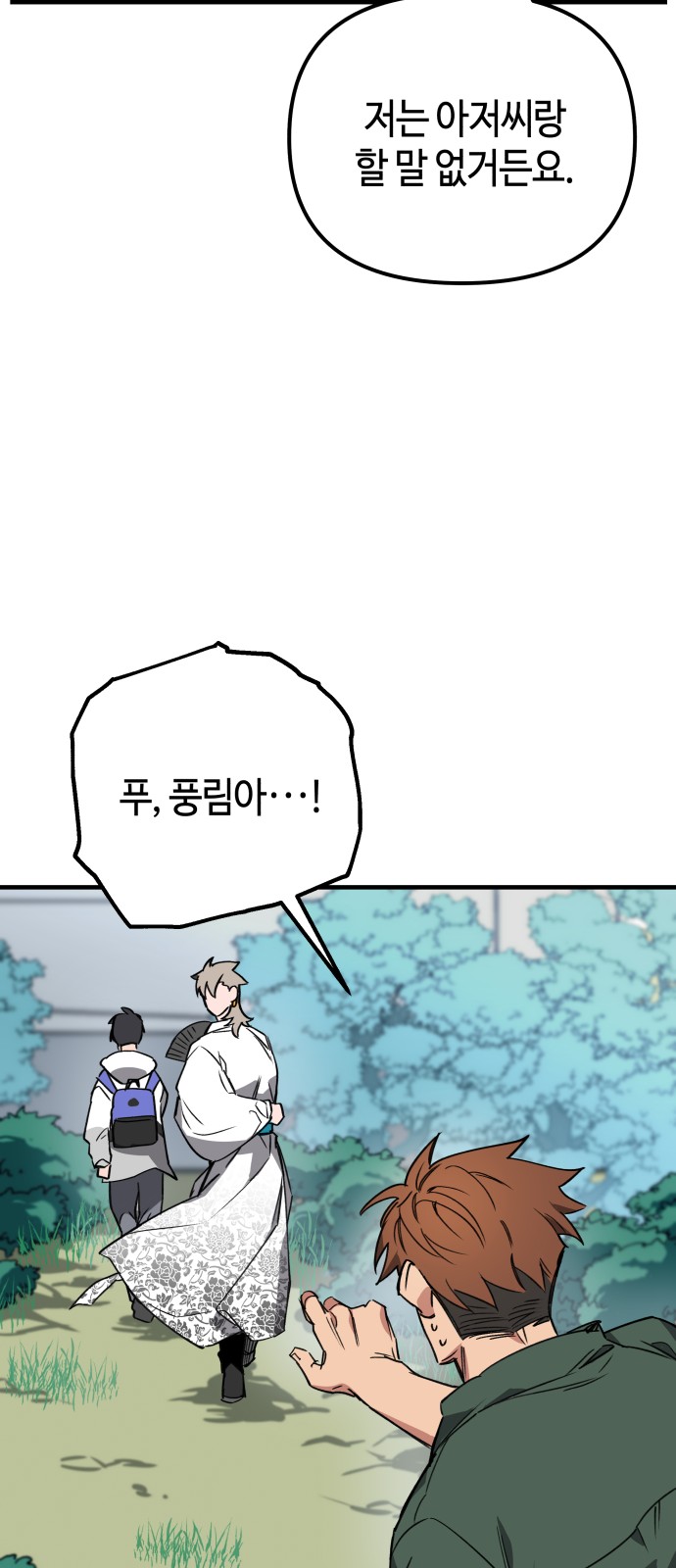 66 페이지