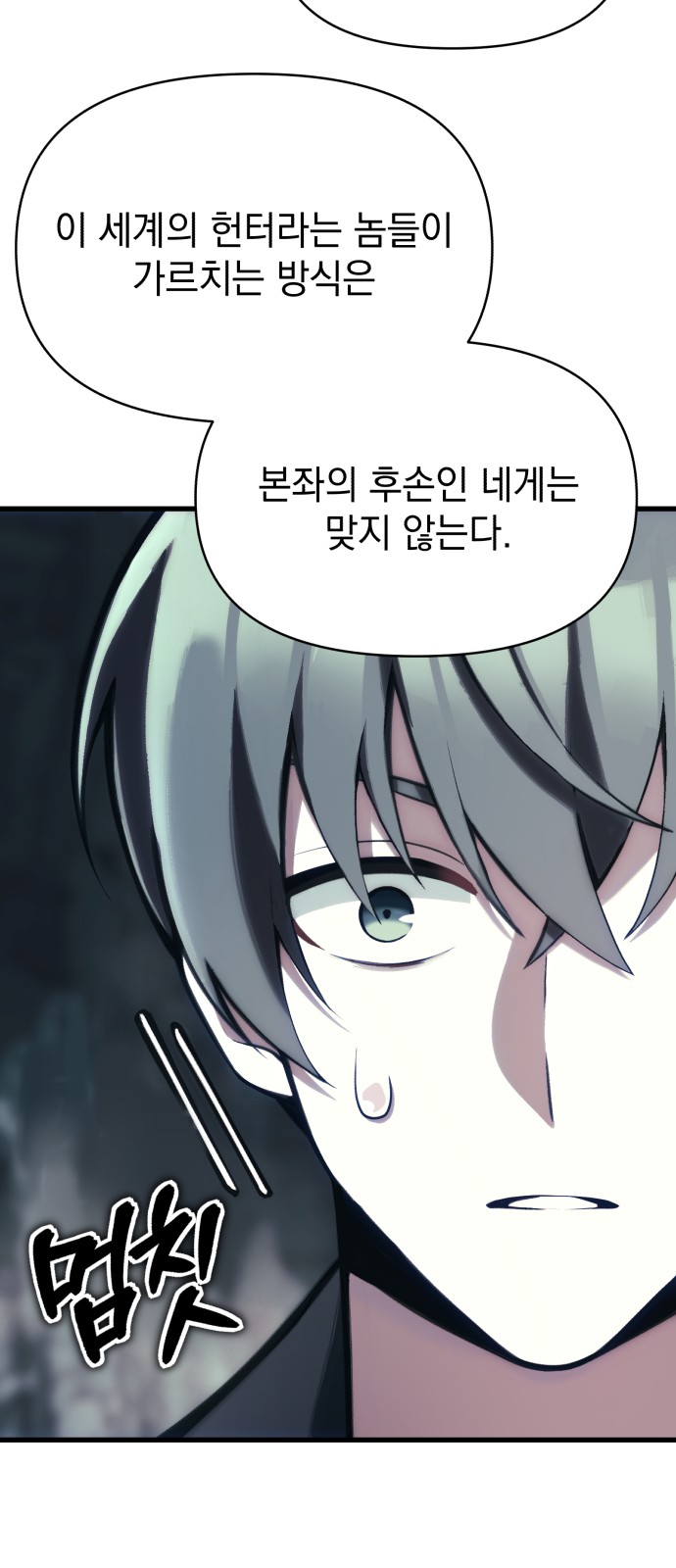 66 페이지