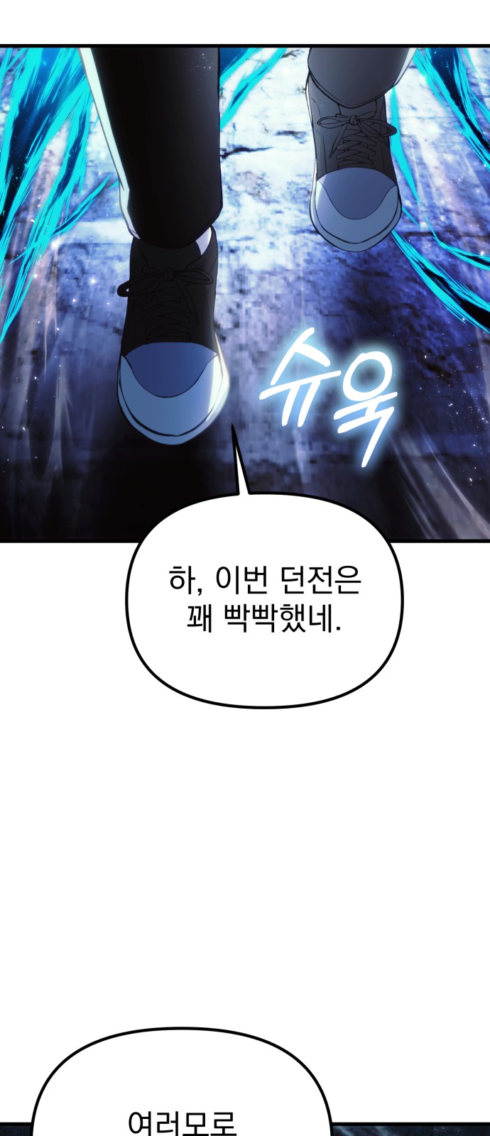 66 페이지