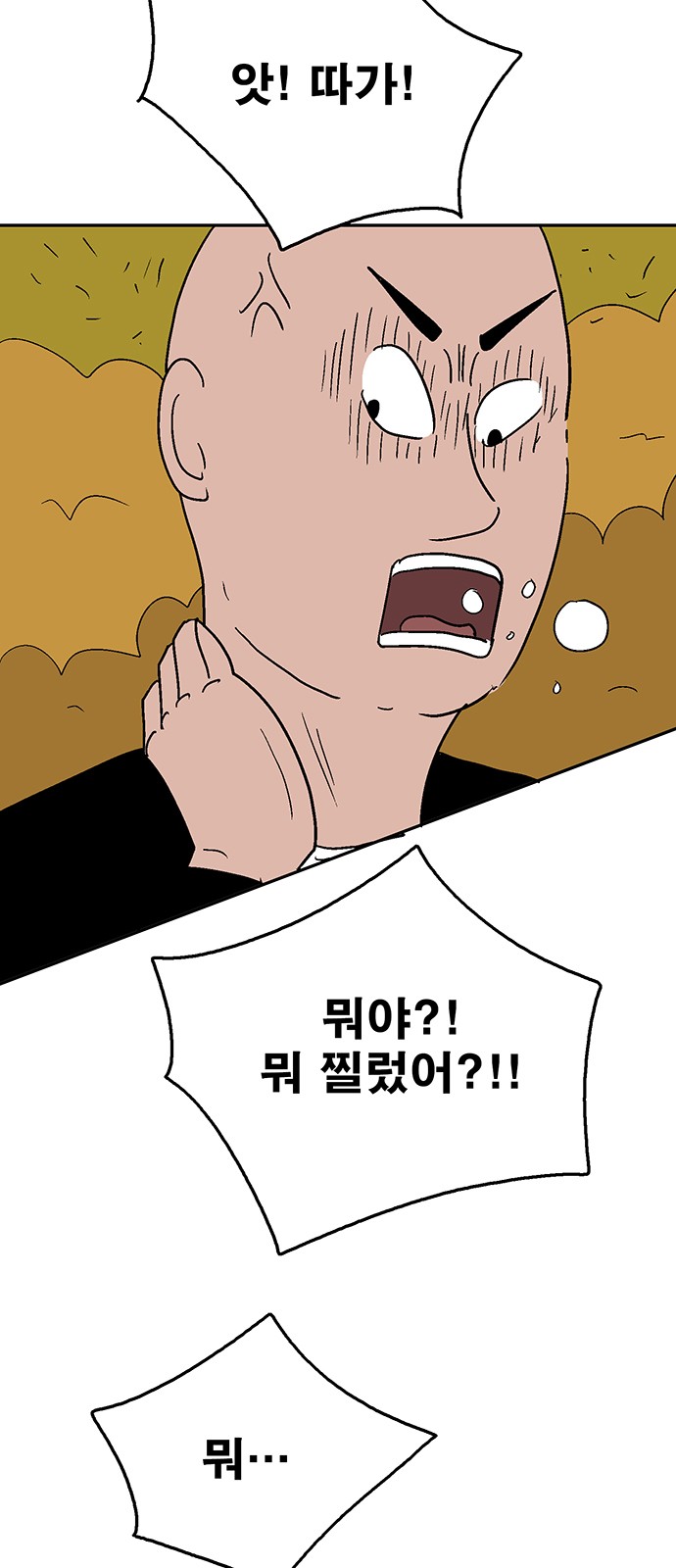 68 페이지