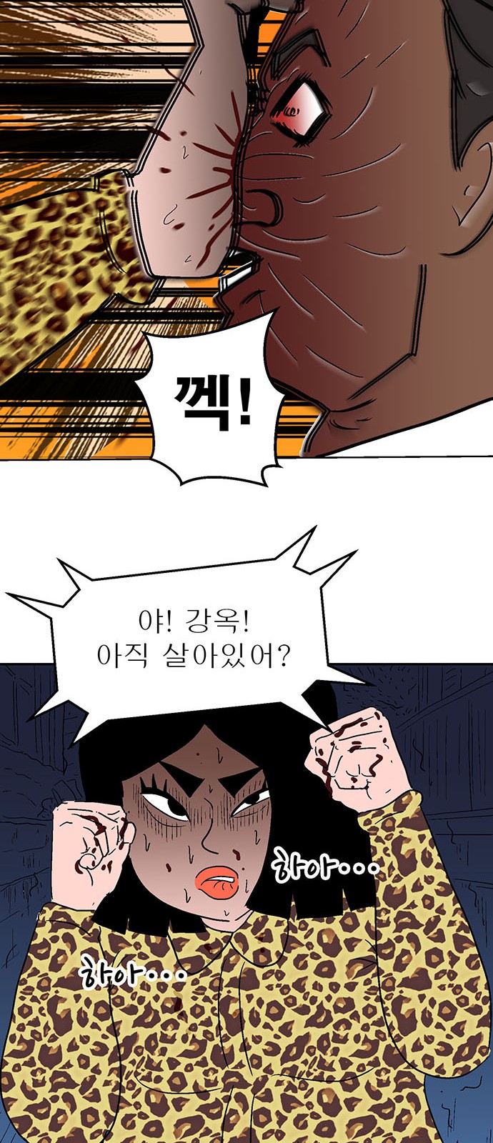 14 페이지