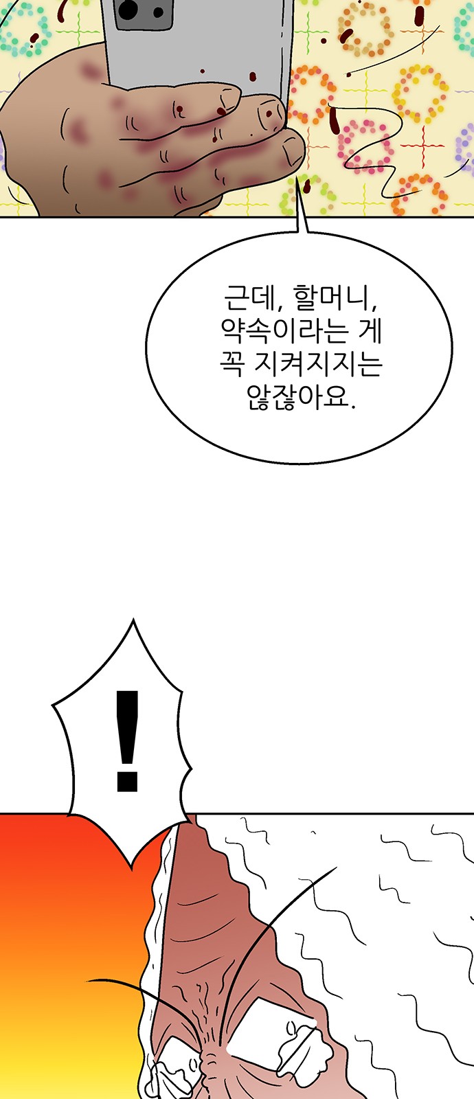 66 페이지
